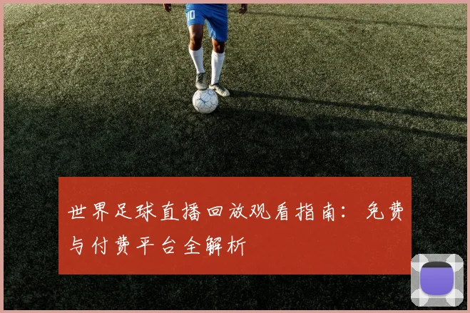 世界足球直播回放观看指南：免费与付费平台全解析